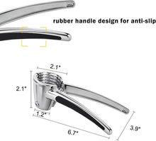 Stainless Steel Walnut Cracker with Non-slip Handle